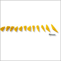 Blocs multiprises indispensables – Image 4